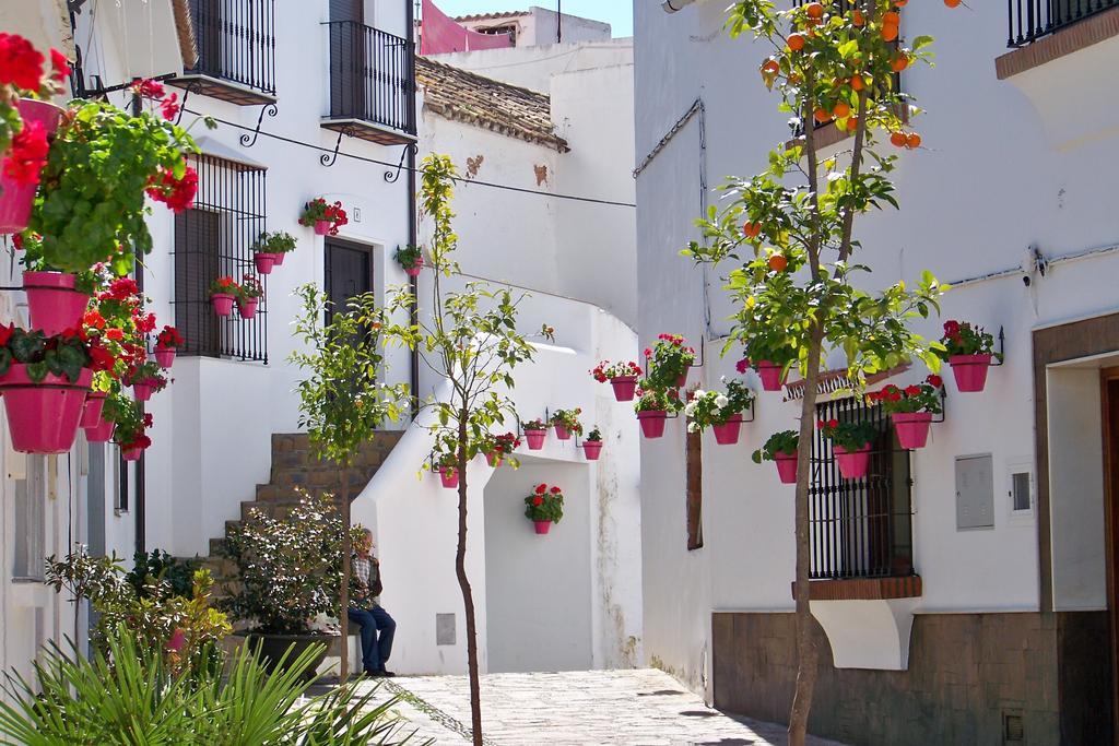 Apartamentos Miguel Angel Estepona Eksteriør billede